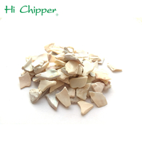 //iprorwxhkkppln5p-static.micyjz.com/cloud/pjBpkKrnljSRmlmmllqpim/news_main_image_Crushed-Sea-Shell.jpg